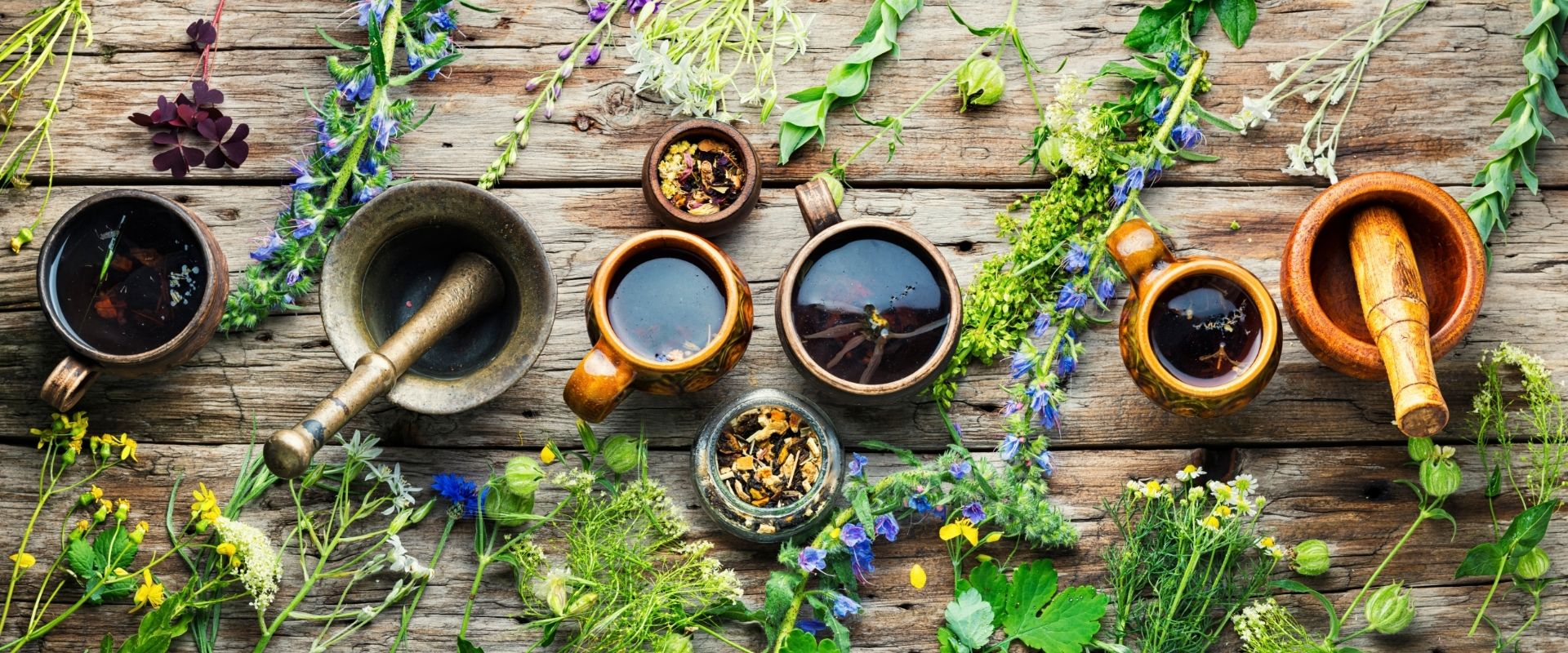 Tıbbi ve Aromatik Bitkiler, Bitki Çayları