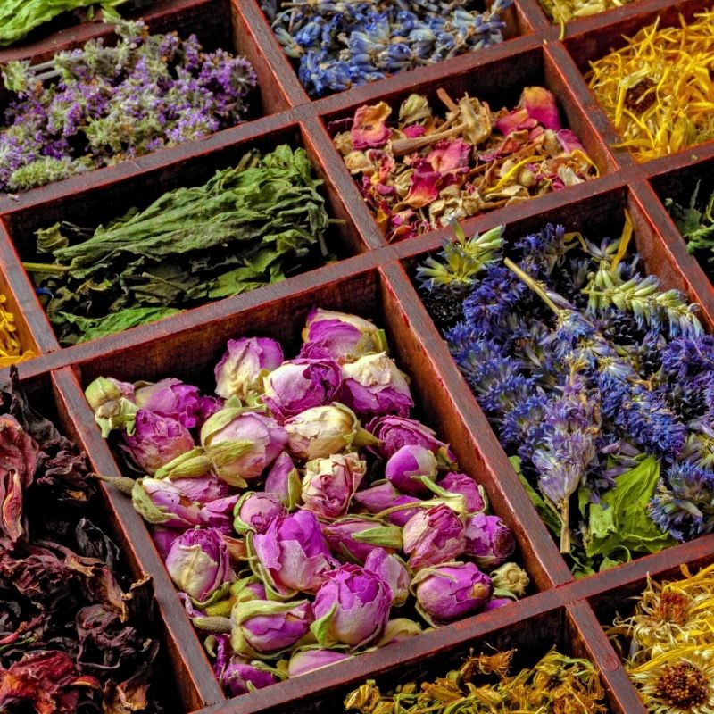 Tıbbi ve Aromatik Bitkiler, Bitki Çayları
